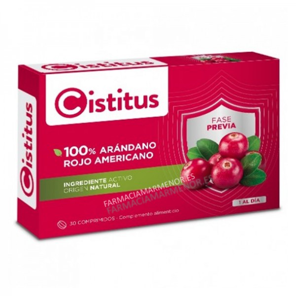 CISTITUS COMPRIMIDOS 300 MG 30 COMP